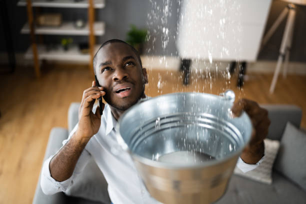 Best Carpet water damage restoration  in Seaville, NJ