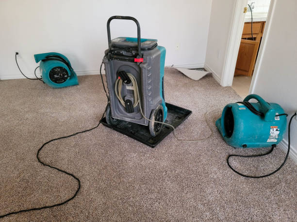 Best Flood damage cleanup  in Seaville, NJ