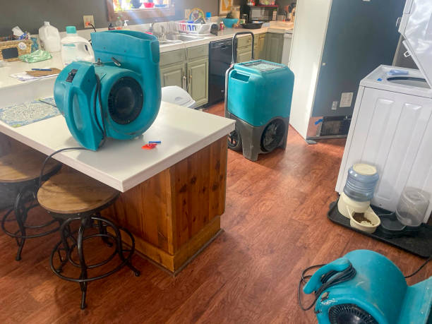 Best Flood damage cleanup  in Seaville, NJ