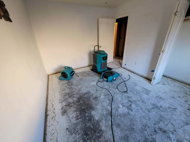 Best Water damage restoration near me  in Seaville, NJ