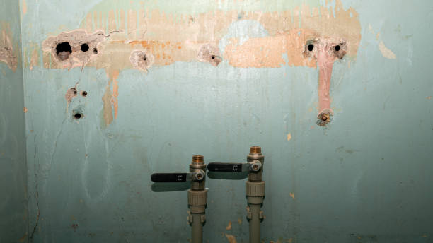 Best Mold removal after water damage  in Seaville, NJ