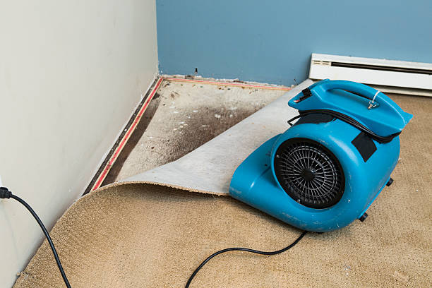 Professional Water damage restoration in Seaville, NJ