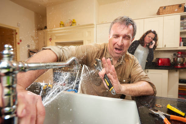 Best Water damage cleanup near me  in Seaville, NJ